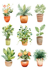 Plant flower pot set collection watercolor clipart isolated on white background