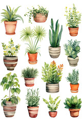 Plant flower pot set collection watercolor clipart isolated on white background