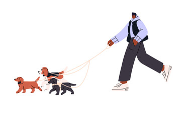 Owner walk puppy, pet group, hold leash in hand. Man stroll with many doggies of diverse breed on street. Professional dog sitter, canine service. Flat isolated vector illustration on white background