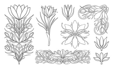 Floral crocus plant in art nouveau 1920-1930. Hand drawn crocus in a linear style with weaves of lines, leaves and flowers.