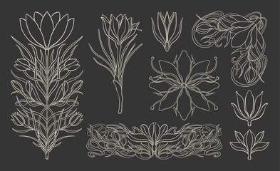 Floral crocus plant in art nouveau 1920-1930. Hand drawn crocus in a linear style with weaves of lines, leaves and flowers.