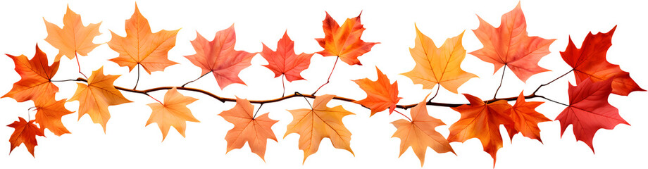 Naklejka na ściany i meble Autumn maple leaf branch seasonal nature decoration element, AI generative
