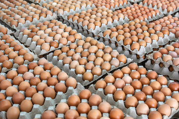Open egg box with brown eggs. Fresh chicken eggs in a paper tray carton or egg container with copy space.