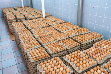 Open egg box with brown eggs. Fresh chicken eggs in a paper tray carton or egg container with copy space.
