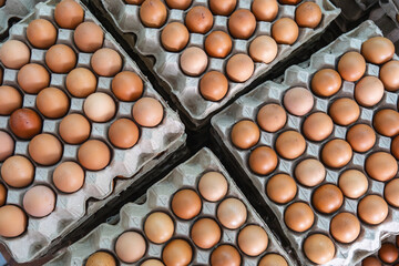 Open egg box with brown eggs. Fresh chicken eggs in a paper tray carton or egg container with copy space.