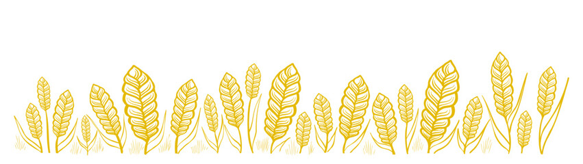 Spikelets of wheat in the foreground. Hand drawn vector sketch.