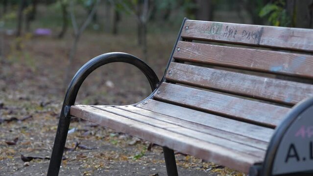 bench in the park. autumn day in the park.