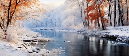 Fall and winter seasons in a wooded area with a flowing body of water