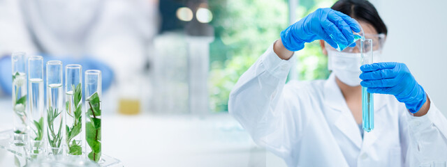 Scientist picking up sample plants in test tube. Concept of botanical, chemistry, ecology and...