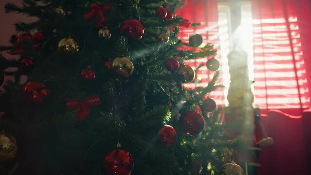 Ray of the sun at morning hit the Christmas tree with nutcracker