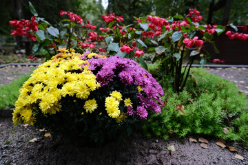 bouquet of flowers on the grave