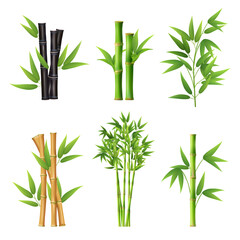 Bamboo plants. Realistic illustration templates of different colors of bamboo stick decent vector pictures - obrazy, fototapety, plakaty