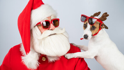 Santa claus and santa's helper in sunglasses on a white background. Jack russell terrier dog in a deer costume.