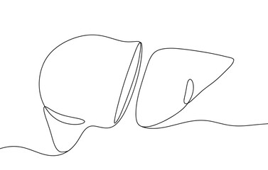 Human liver. Transplantation. Transfer. Organ. One line