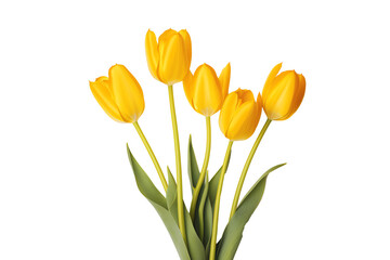 a group of yellow tulips - obrazy, fototapety, plakaty