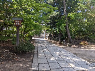 木漏れ日