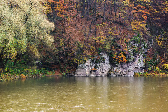 trees in fall foliage on the rocky shore of a river. autumnal nature scenery of carpathian countryside