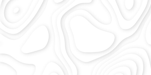 Abstract wavy line 3d paper cut white background. Topographic canyon geometric map relief texture with curved layers and shadow. Abstract realistic papercut decoration textured with wavy layers