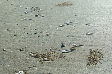 Closeup sea sand beach. Panoramic beach landscape. Inspire tropical beach seascape horizon.