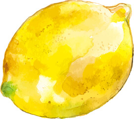 Vector Watercolor painted lemon. Hand drawn fresh food design elements isolated on white background.
