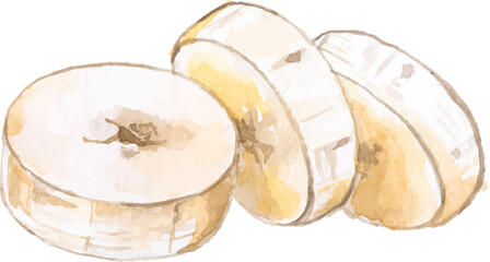 Vector Watercolor painted banana. Hand drawn fresh food design elements isolated on white background.