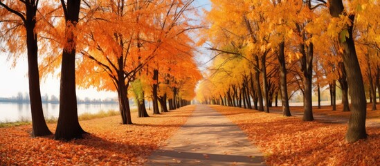 Autumn park with a footpath