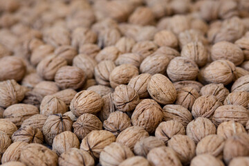 many walnuts close-up