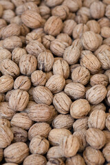 many walnuts close-up