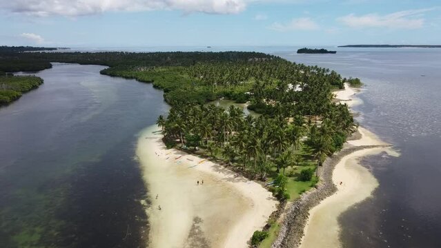 Seaweed at doot beach and river mangroves at low tide on Siargao island, philippines. Aerial