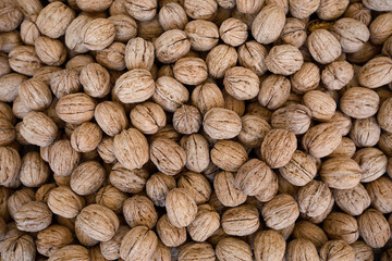 many walnuts close-up