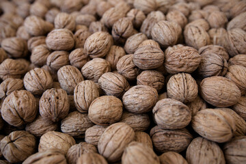 many walnuts close-up