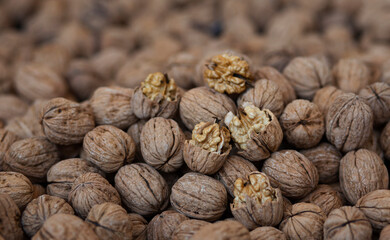 many walnuts close-up