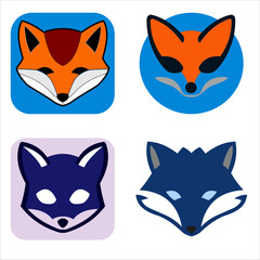 Fototapeta premium Orange blue fox on white background
