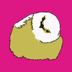 小鳥（small bird）