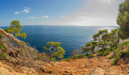 Mediterranean landscape, seascape with pine trees near Costa de los pinos, Cala Millor, Mallorca island, Spain (panorama)