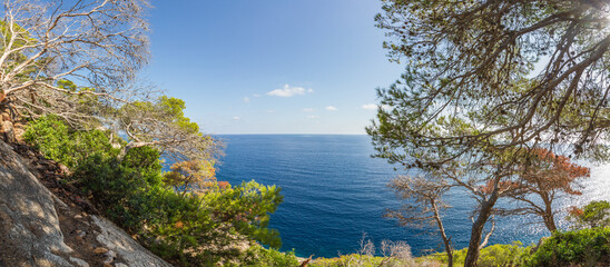 Mediterranean landscape, seascape with pine trees near Costa de los pinos, Cala Millor, Mallorca island, Spain (panorama)