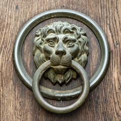 Antique lion head door knocker, wooden background