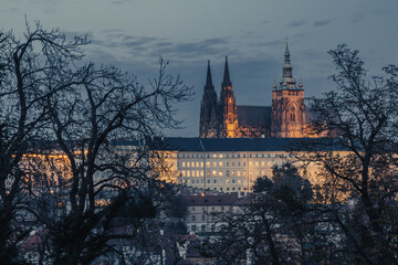 Saint Vitus Cathedral inPrague, view from Petrin