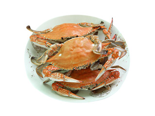 Crab on a dish