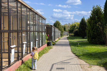A small child girl walks around the zoo and looks with interest into the cages with exotic birds. A...