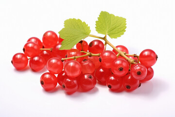 Fresh red currant on white background