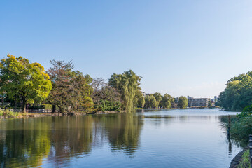 石神井公園の風景