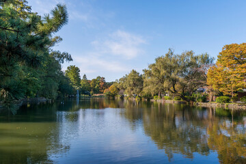 Obraz premium 石神井公園の風景