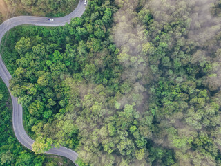 Aerial top view of green forest and highway road. Drone view of green trees and morning fog. Green trees background for carbon neutrality and net zero emissions concept. Sustainable green environment.
