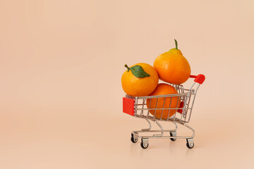 Small shopping cart with tangerines on beige background. Online shopping, fresh fruit delivery concept with copy space. Black Friday, Cyber Monday Sales. Christmas supermarket offers