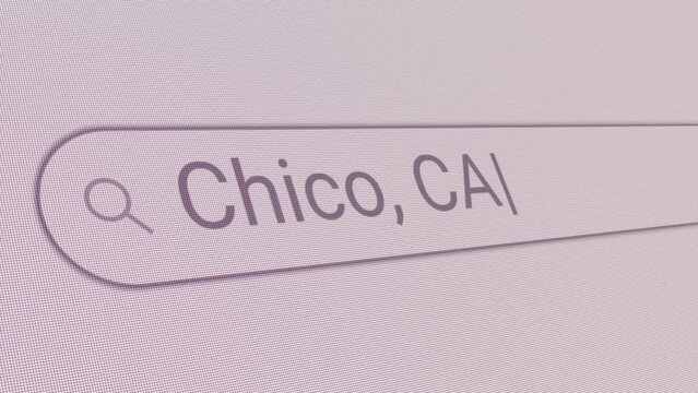 Search Bar Chico CA 
Close Up Single Line Typing Text Box Layout Web Database Browser Engine Concept