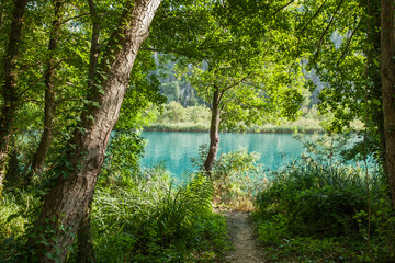 Pure lake with turqouise water surrounded by trees in Croatia. Krka river.