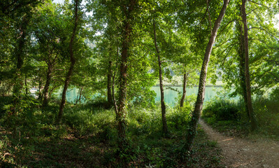Fototapeta na wymiar Pure lake with turqouise water surrounded by trees in Croatia. Krka river. Natural peaceful forest landscape.