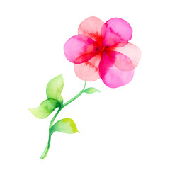 Naklejka na ściany i meble Hand drawn watercolor pink flower isolated on a white background.