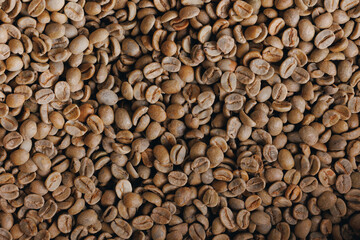 Jute bag of green coffee beans before roasted